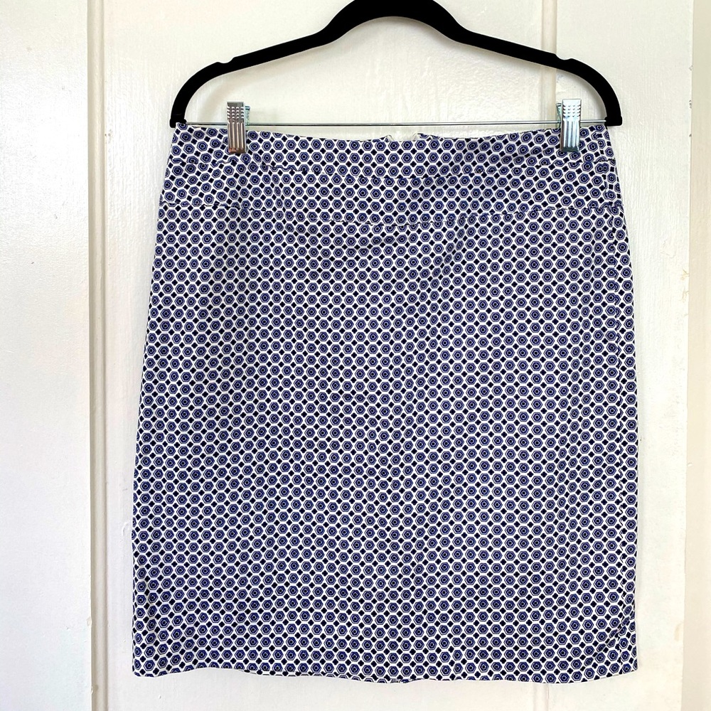 Kenar, Size 6 (fits like 8). Blue/White skirt